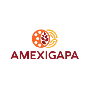 _Amexigapa
